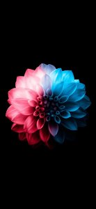 iPhone高清壁纸 | 一组ios原生态经典壁纸,快来看看吧