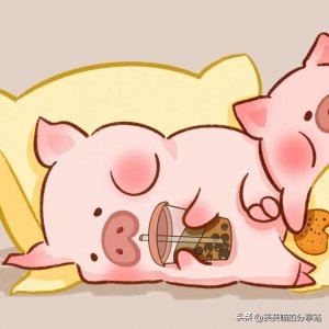 小猪猪情侣头像