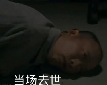 高级特工穿山甲表情包