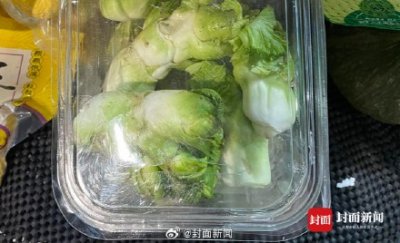 每天要被吃掉25吨!儿菜是成都秋冬菜品顶流